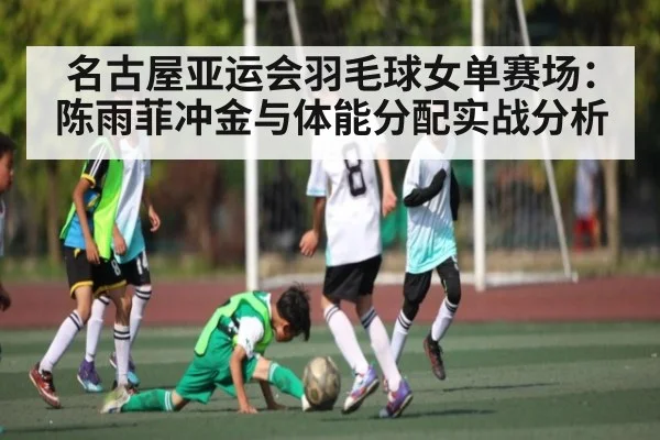 名古屋亚运会羽毛球女单赛场：陈雨菲冲金与体能分配实战分析